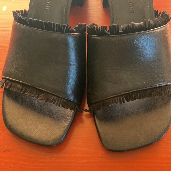 Bernardo Blane 1 Slides - Picture 4 of 7